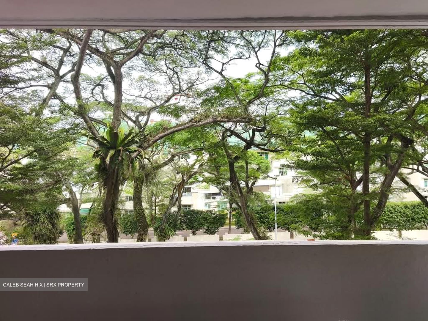 Blk 336 Woodlands Avenue 1 (Woodlands), HDB 4 Rooms #565772331